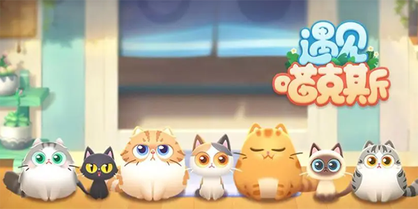 遇见喵克斯怎么生小猫崽-小猫咪获得攻略