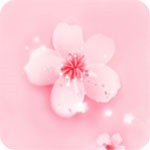 91tvapp
