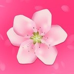 色鬼app安装包