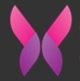 奶糖app